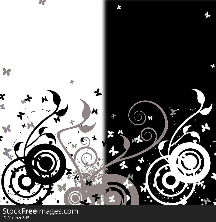 Floral    on the black and white background. Floral    on the black and white background