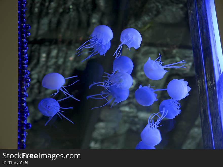 View of aquarium and floating blue animals