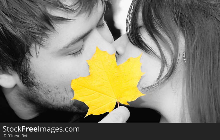 Happy couple kissing, yellow leaf between