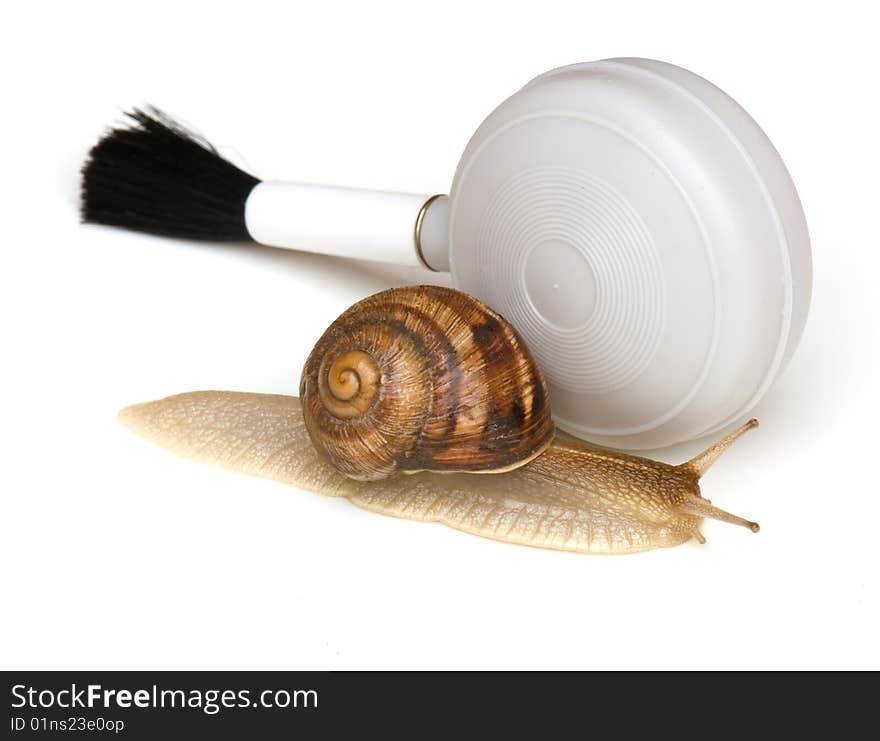 Snail and an enema with a brush for cleaning