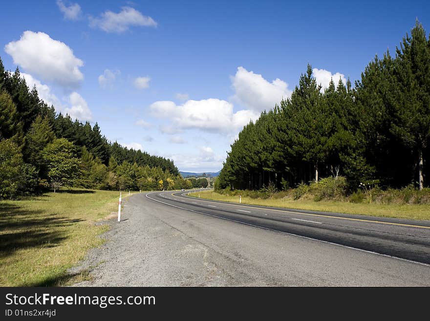 Highway in Rural Area with Forest and Sky