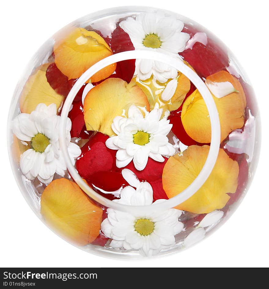 Daisies and rose petals in a round transparent glass vase. Daisies and rose petals in a round transparent glass vase