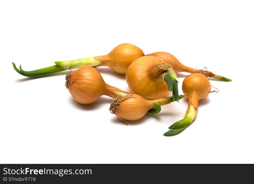 Onions isolated on white background