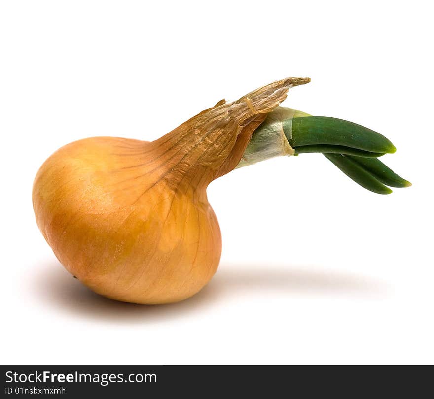 Onions isolated on white background