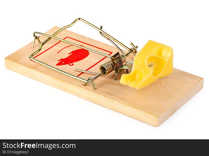 Mousetrap and cheese