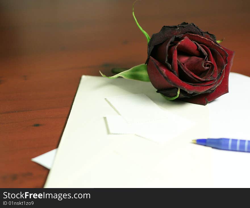 Beautiful scarlet rose and paper