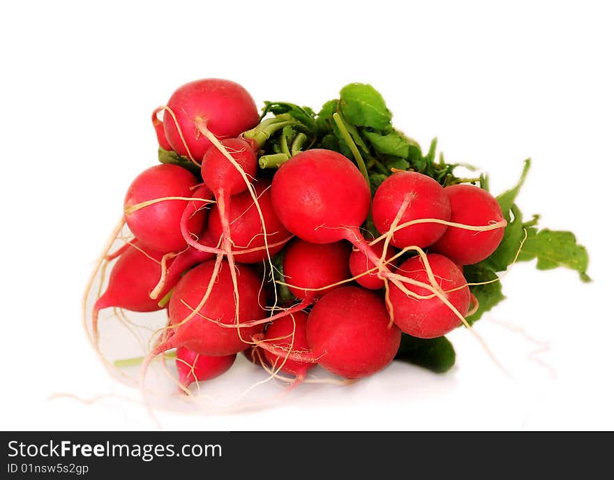 Bunch of radish