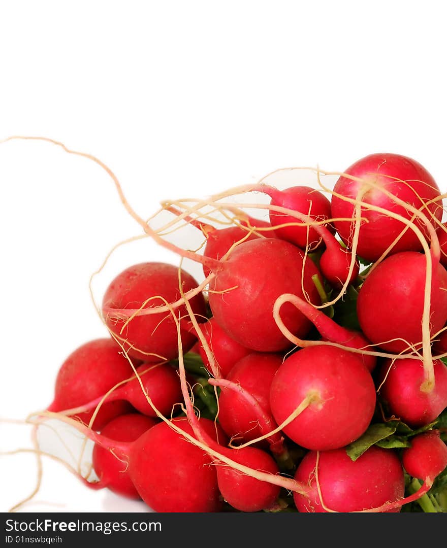 Bunch of radish isolated on white background