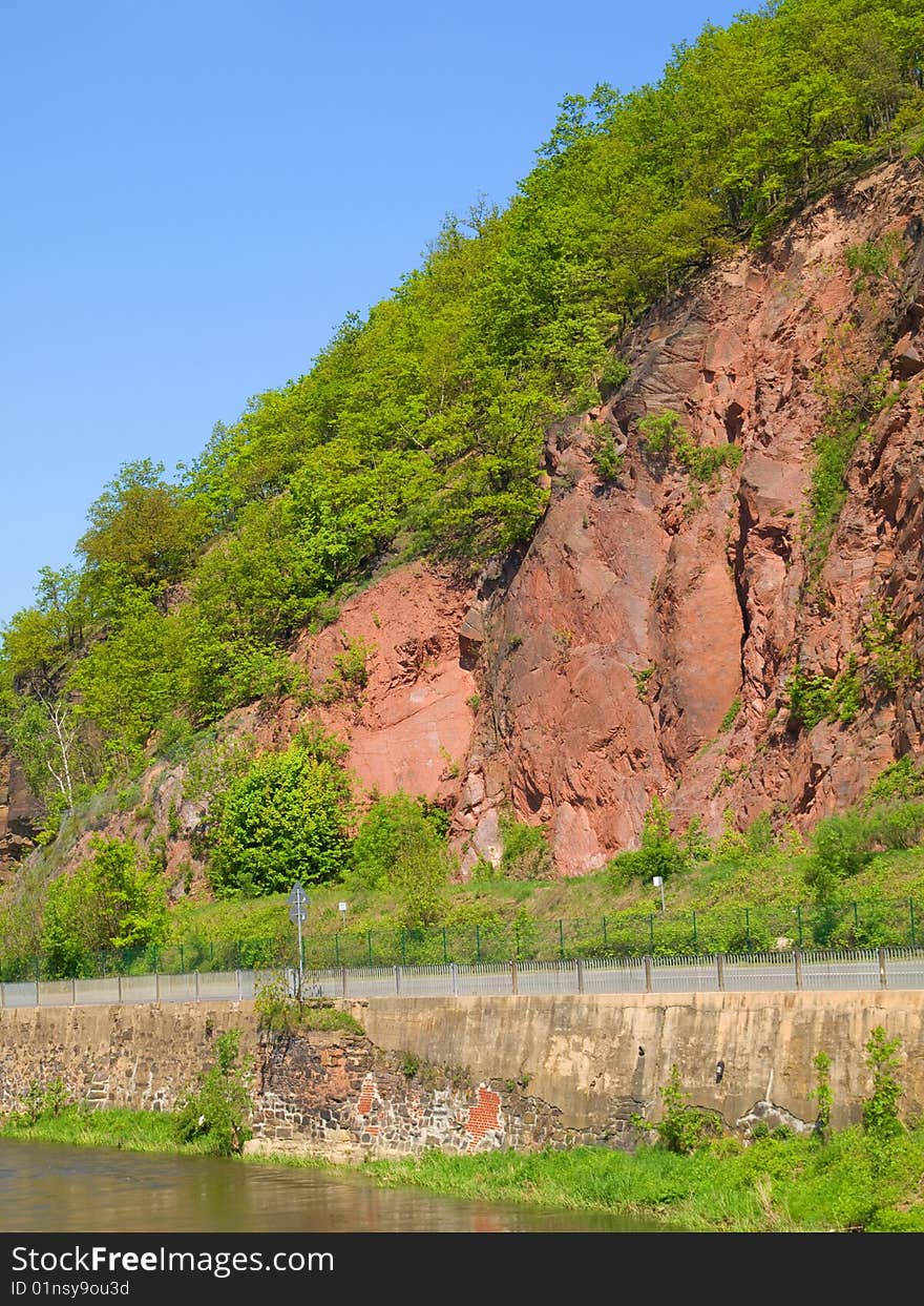 Mountain with trees