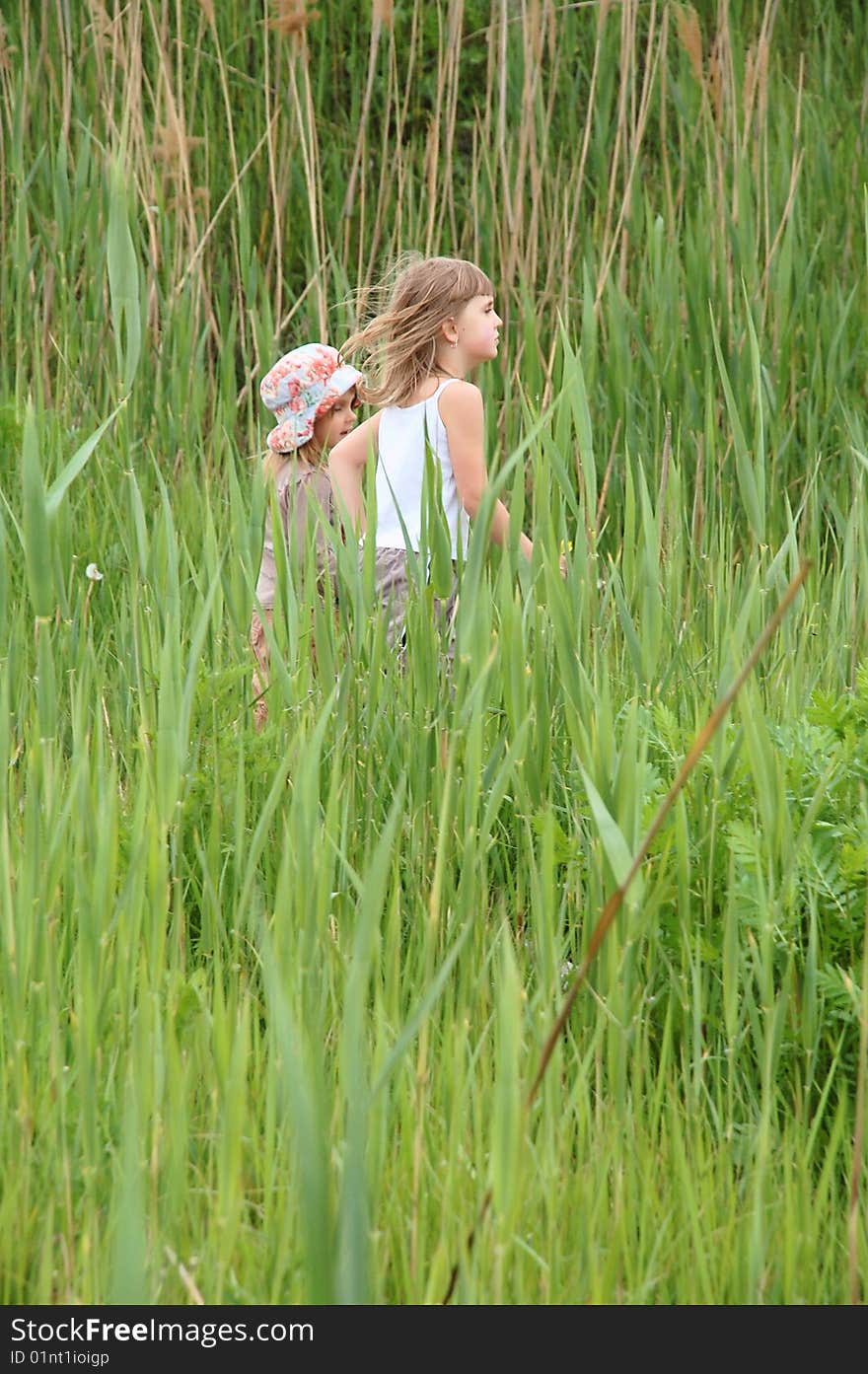 Two girls friends having a walk in long grass. Two girls friends having a walk in long grass