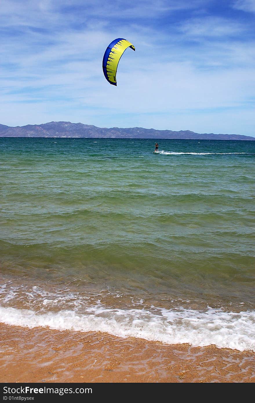 Skate on the sea, Baja California, Mexico. Skate on the sea, Baja California, Mexico