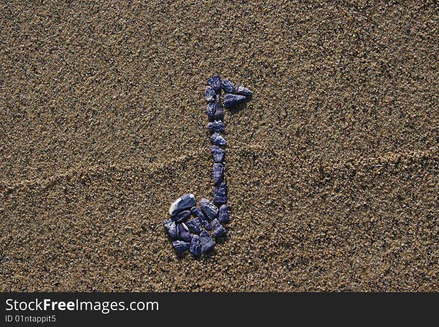 Eight Note Shells on Beach