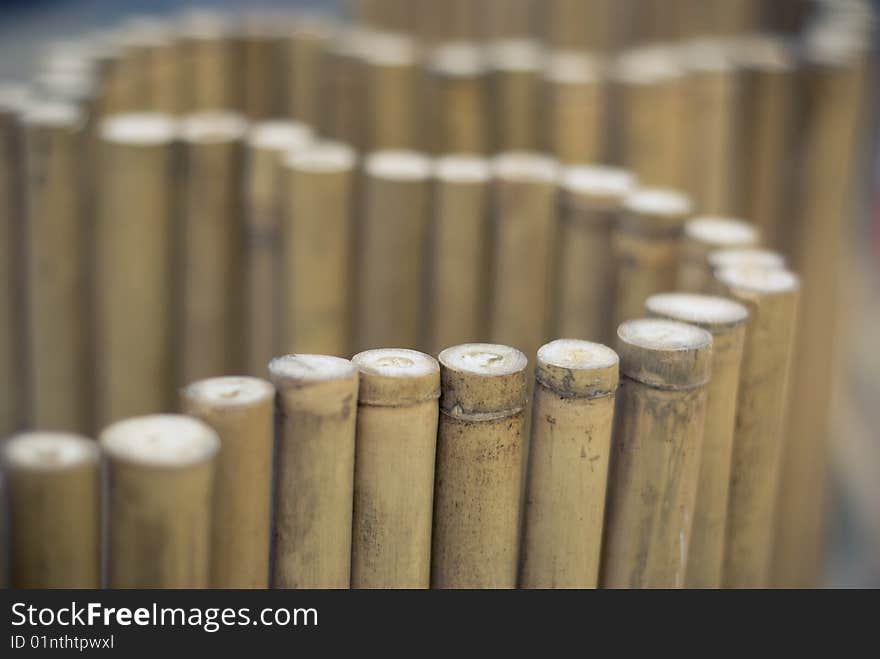 A shot taken of a bamboo fence in the park