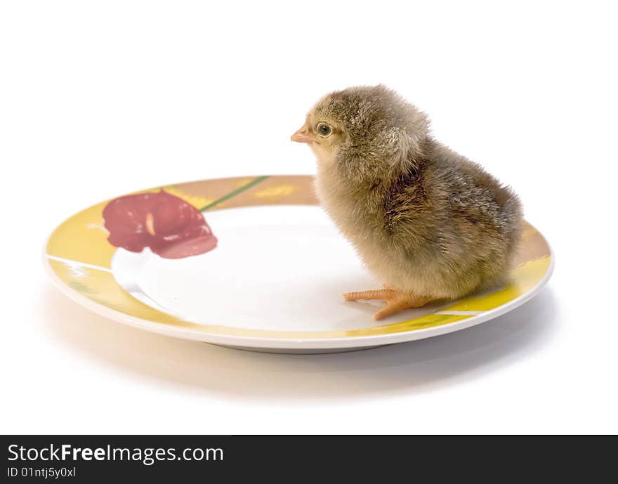 Chicken who is in a plate. Chicken who is in a plate