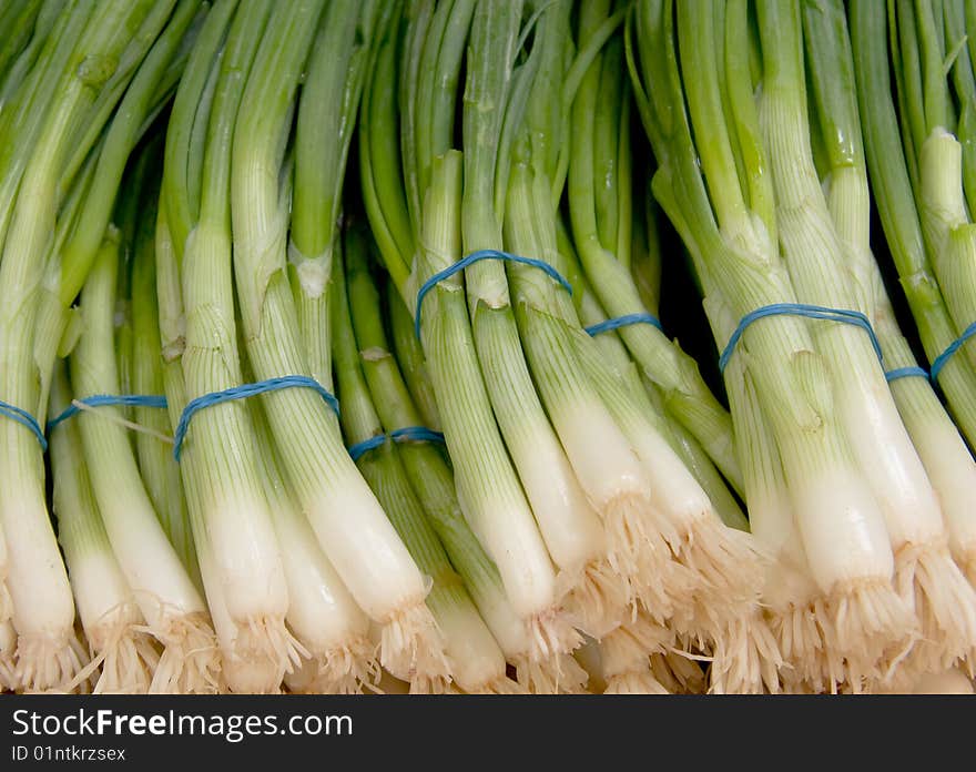 Scallions