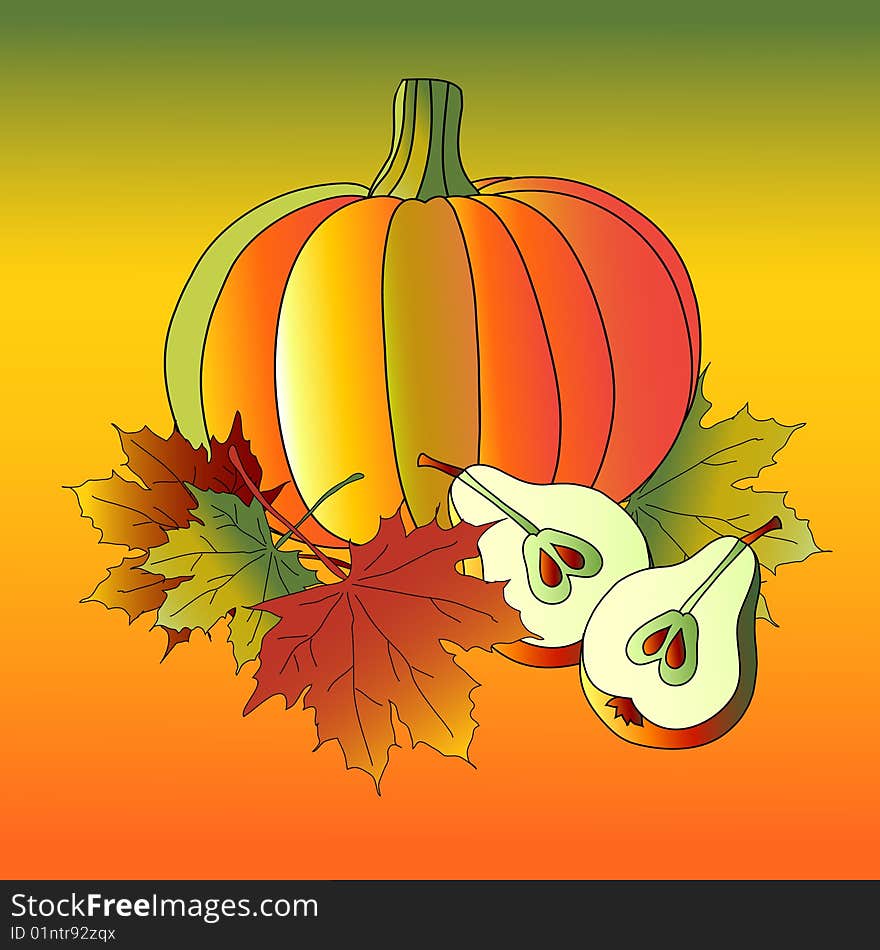 Vector illustration of pumpkin and pear