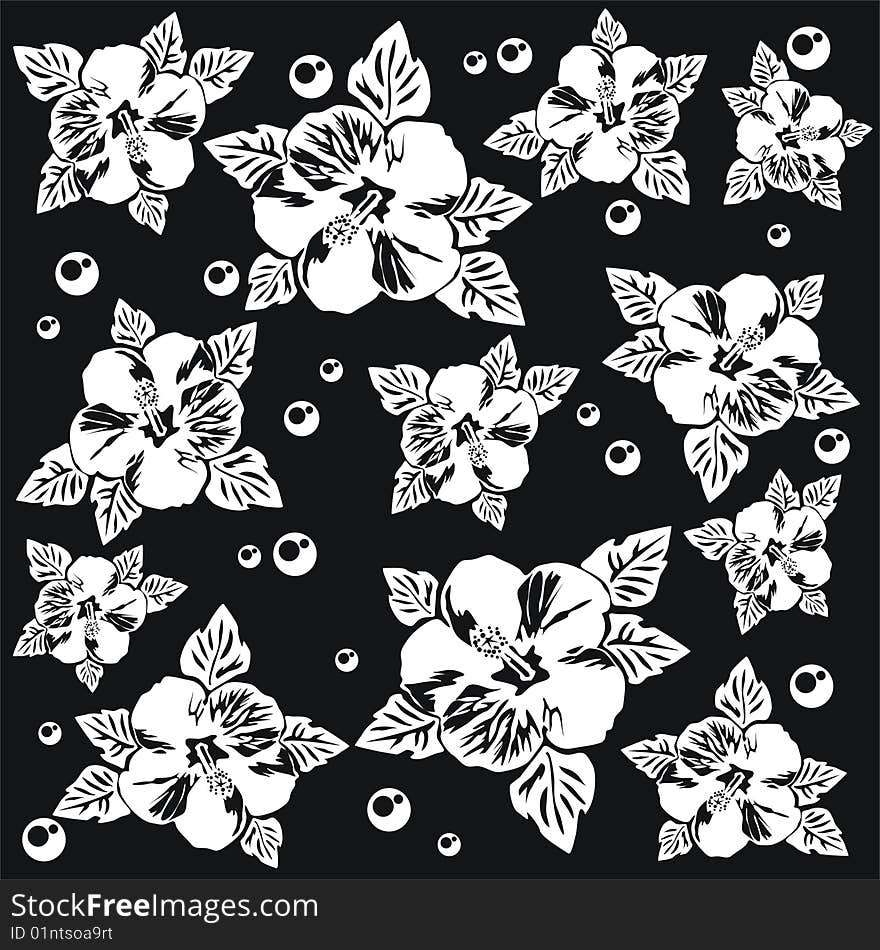 Pattern with white flowers on a black background. Pattern with white flowers on a black background.