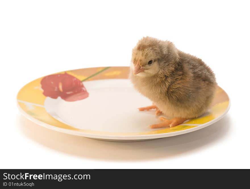 Chicken who is in a plate. Chicken who is in a plate