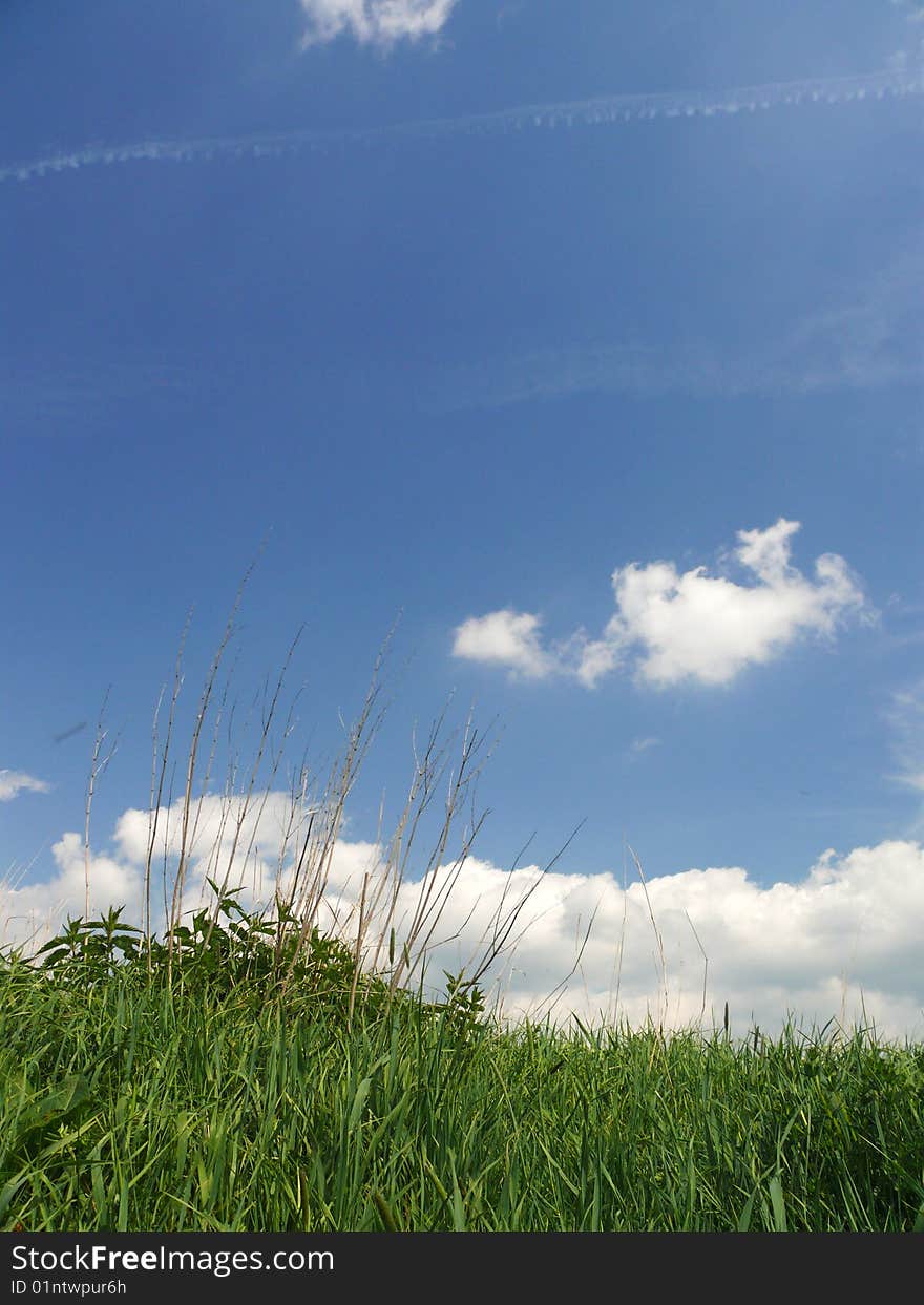 Green grass and blue sky with clouds. Green grass and blue sky with clouds