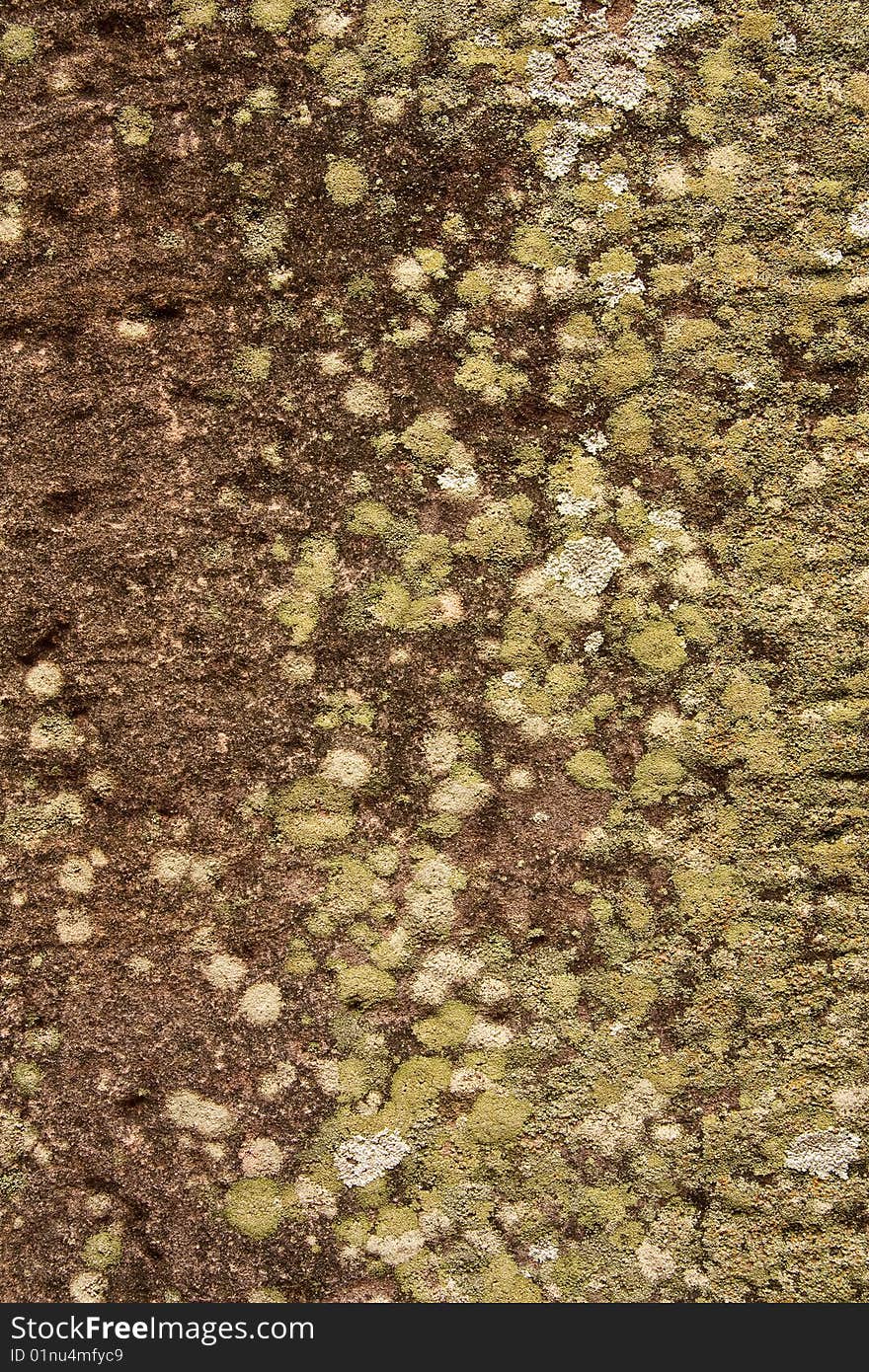 Lichen on surface of stone in Pimai Ancient City, Thailand. Lichen on surface of stone in Pimai Ancient City, Thailand