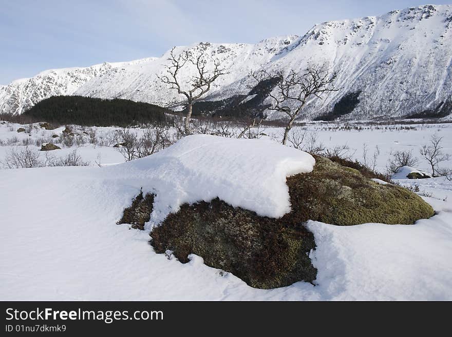 Winter landscape with a mossy rock in the foreground and mountains in the background.