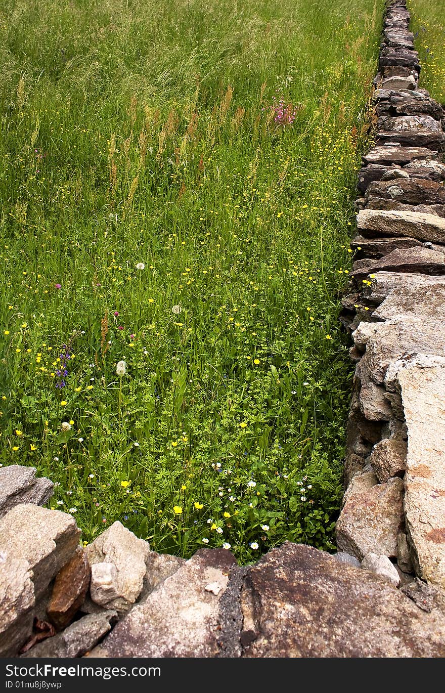 Wall of stone in the meadow in bloom. Wall of stone in the meadow in bloom