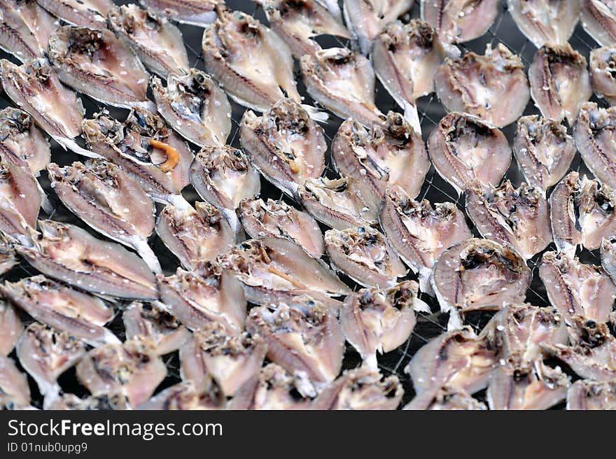 Sun dried salted fish 1