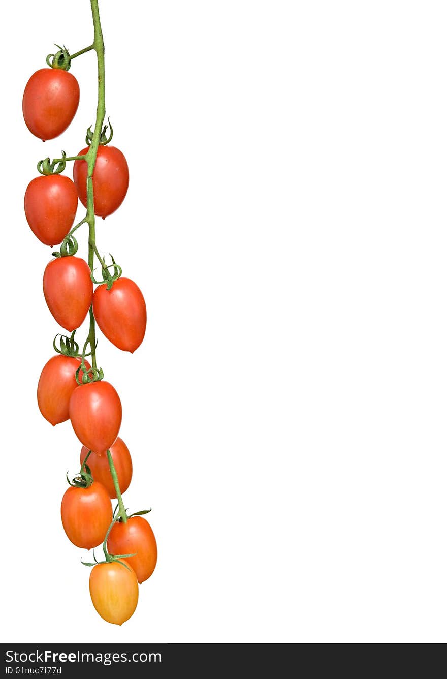 Cluster Of Tomatoes