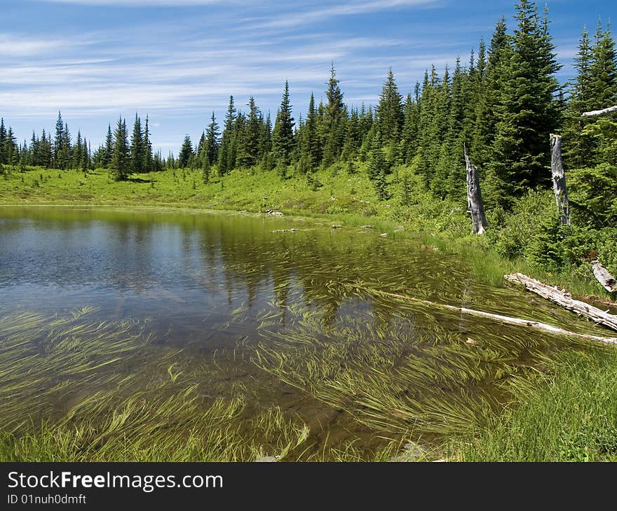 Reed Lake