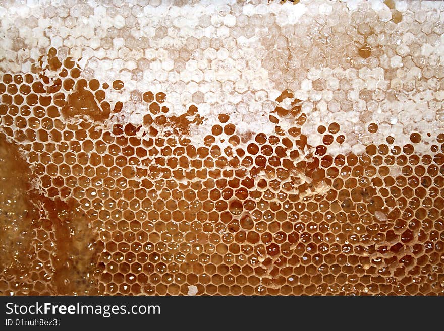 Honeycomb at breakfast in hotel. Honeycomb at breakfast in hotel