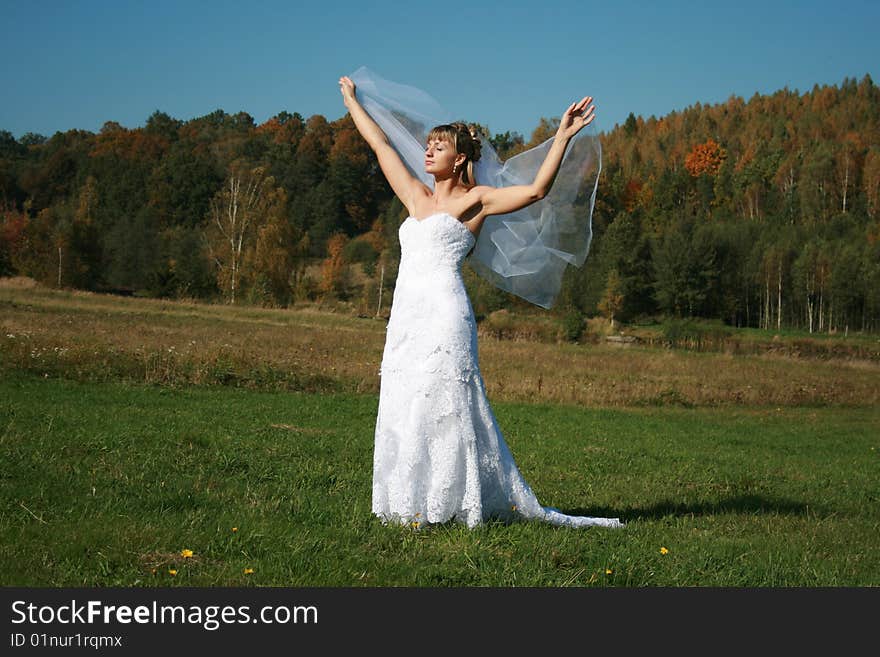 Bride With Bridal Veil Flying Walking In Grass