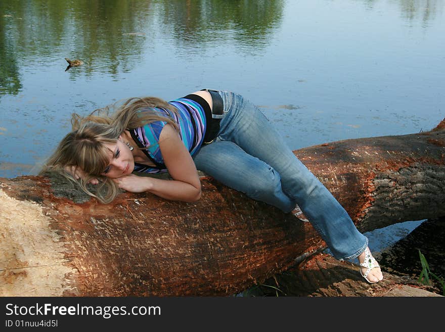 On the fallen tree under lake