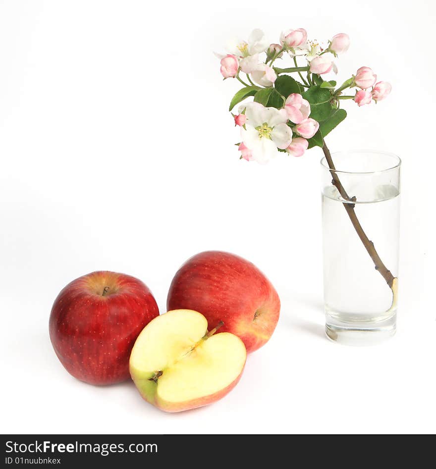 Apple With Apple Flowers