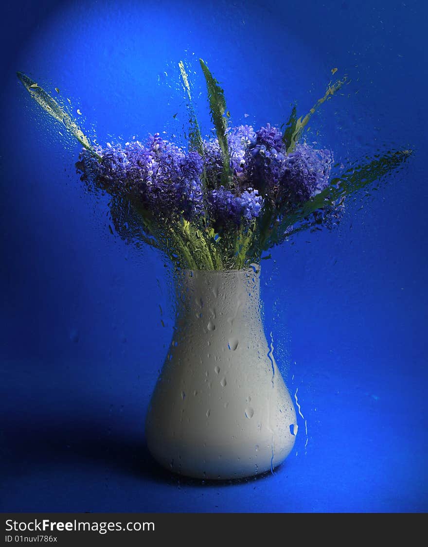 Beautiful blue flowers on blue background