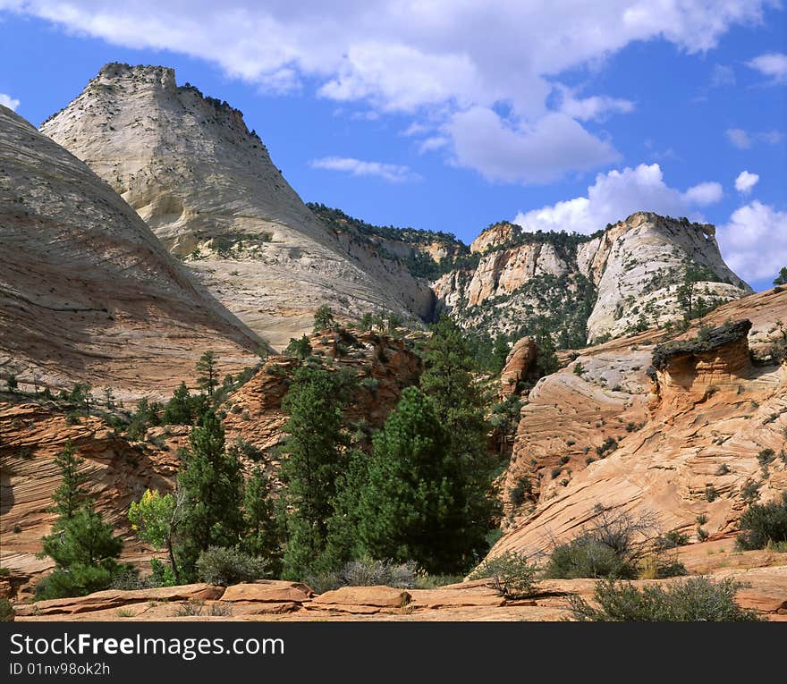 Petrified Sand Dunes