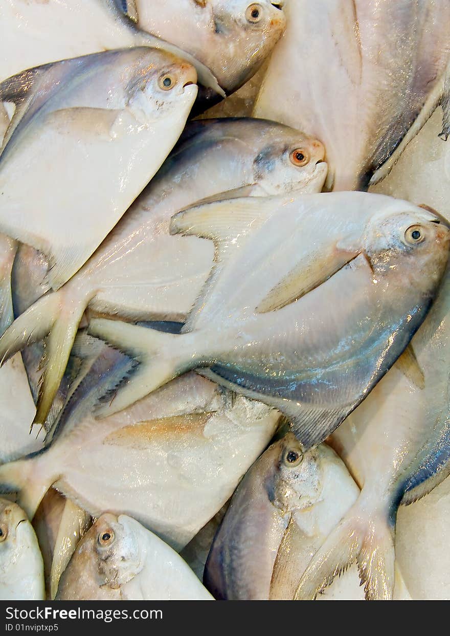 Close up on a pile of fish for sale.