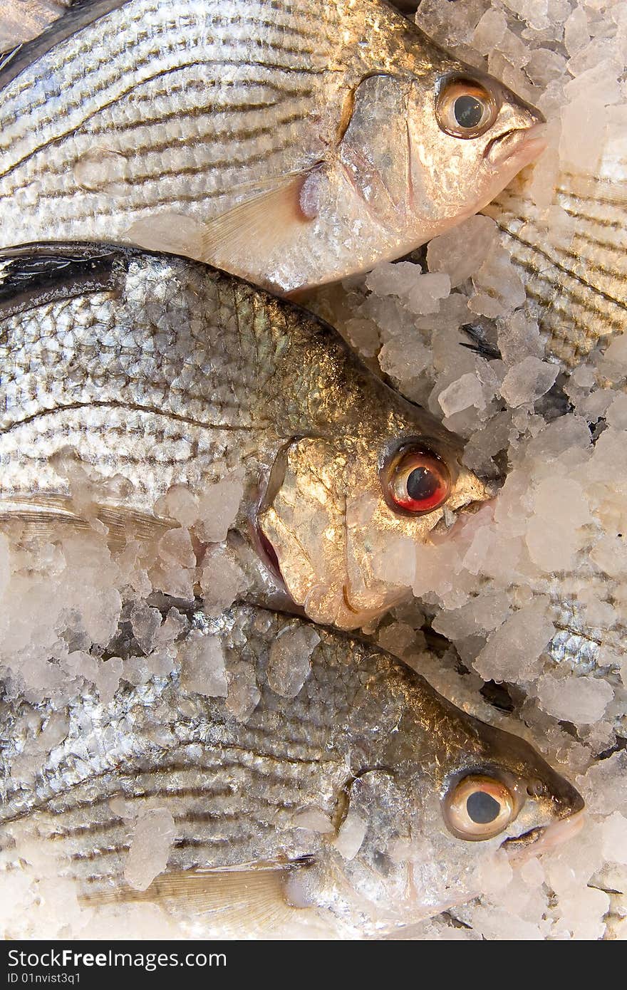 Close up on some fish in ice in a market