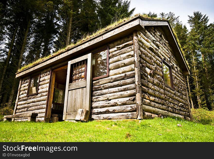 Log cabin in woods