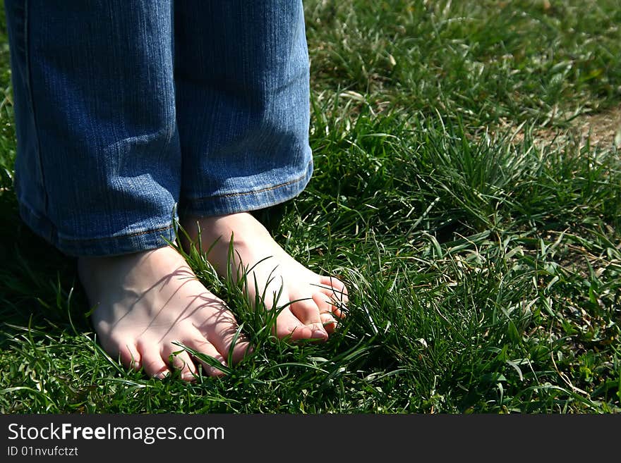 Two  bare feet in jeans on the green young grass. Two  bare feet in jeans on the green young grass