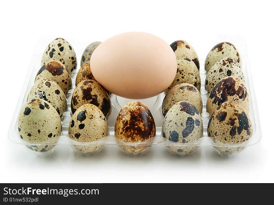 Group of Raw Quail Eggs in Box Isolated on White Background