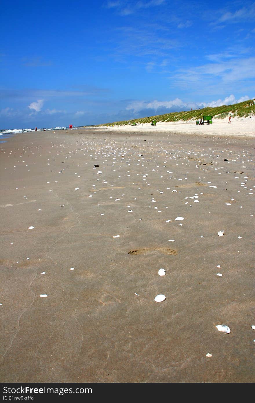 This beach is located in Lithuania and is called Palanga. It is the most beautiful beach in Baltic States! Lot of snail shells and big waves.