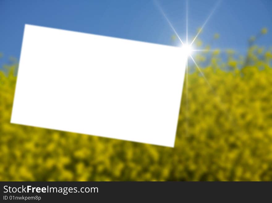 White paper in  green field