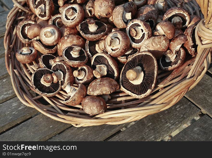 Flat  mushrooms on wooden chopping board. Flat  mushrooms on wooden chopping board