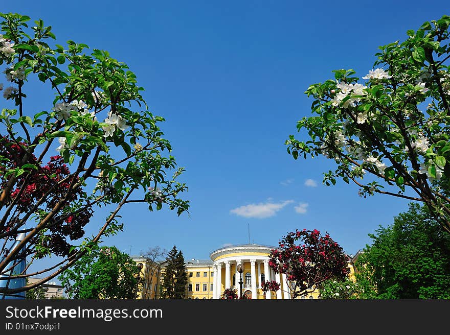 Photograph of white blossoms with the palace on a background