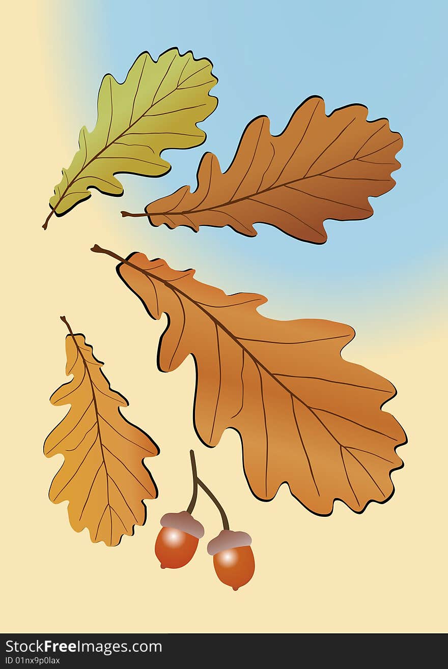 Autumn Oak Leaves