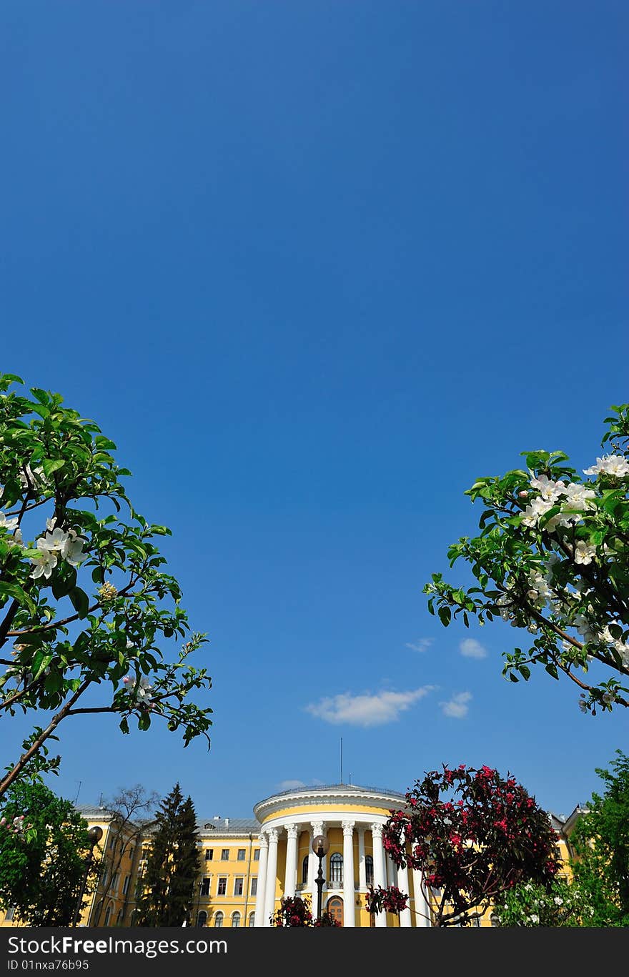 Photograph of white blossoms with the palace on a background