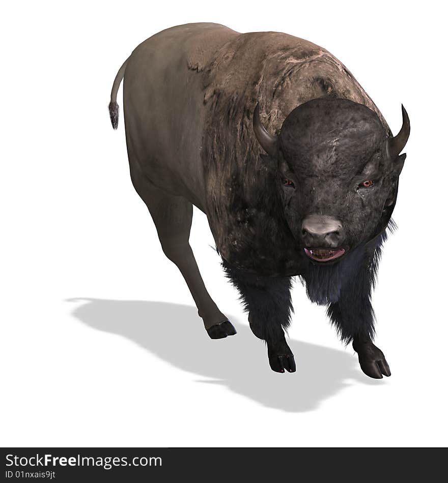 Wild Bison with horns and fur over white. With Clipping Path. Wild Bison with horns and fur over white. With Clipping Path