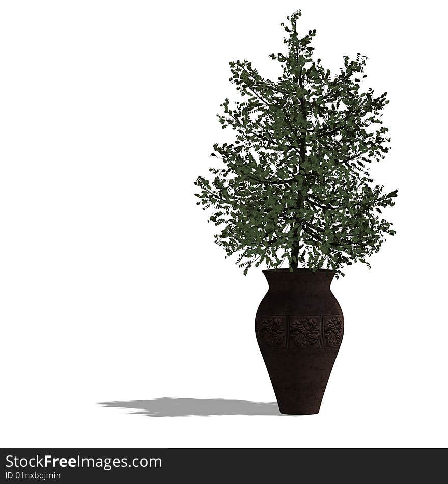 3d Render Of A Planted Tree