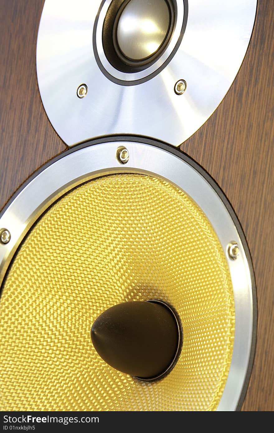 Speaker close up