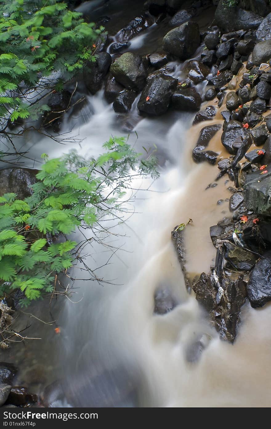 River in the forest